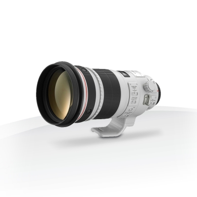 Lente Canon EF 300mm f/2.8L IS II USM