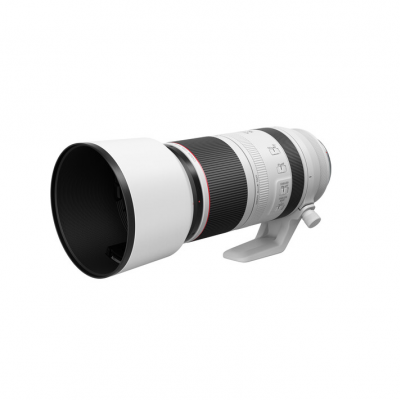 Lente Canon RF 100-500mm f/4.5-7.1L IS USM